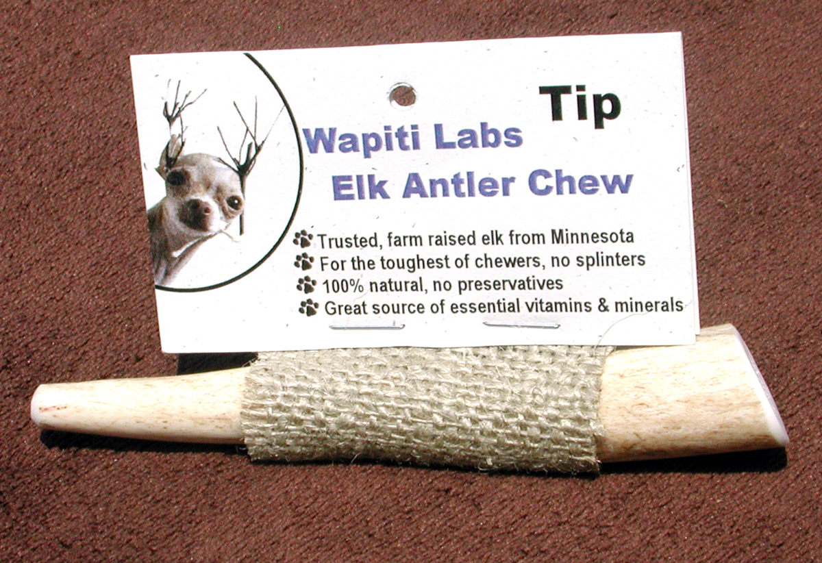 Wapiti Labs Inc 4" Elk Antler Chews - Tips - Click Image to Close